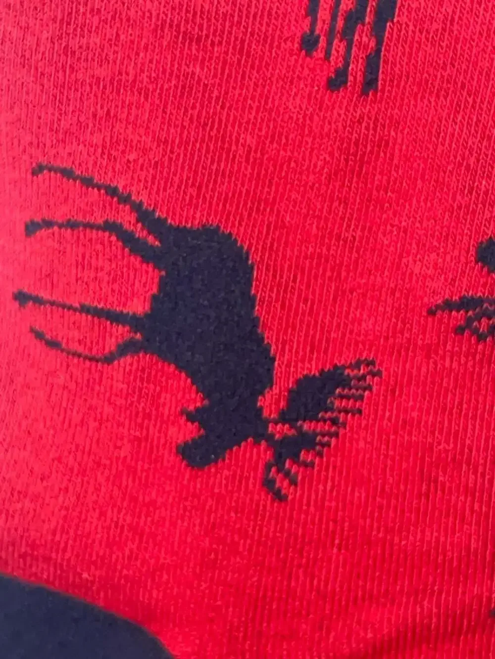 Little Blue House by Hatley Women's Moose Print Crew Socks O/S